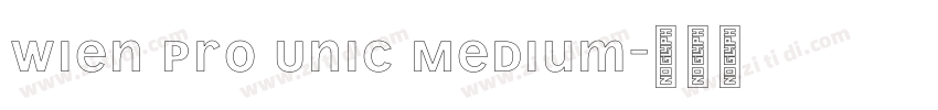 Wien Pro Unic Medium字体转换